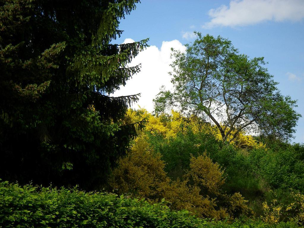 Auszeit Am Eifelsteig Hotel เดาน์ ภายนอก รูปภาพ