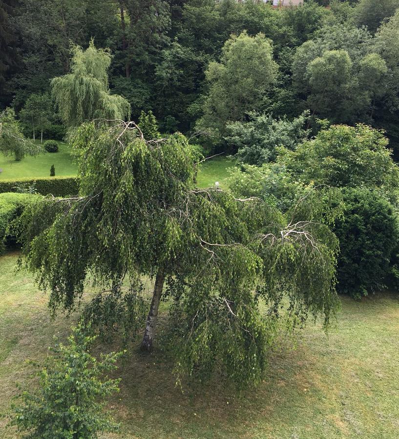 Auszeit Am Eifelsteig Hotel เดาน์ ภายนอก รูปภาพ